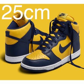 ナイキ(NIKE)のNike Dunk High Michigan Maize and Blue(スニーカー)