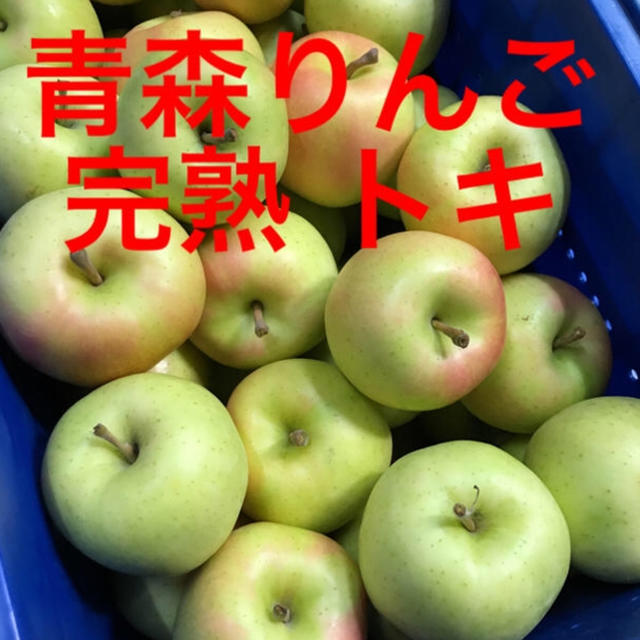 青森県産りんご トキ 家庭用 食品/飲料/酒の食品(フルーツ)の商品写真