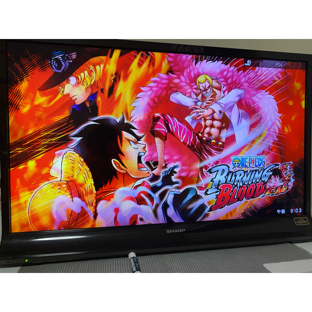 PlayStation4(プレイステーション4)のONE PIECE BURNING BLOOD（ワンピース バーニングブラッド） エンタメ/ホビーのゲームソフト/ゲーム機本体(家庭用ゲームソフト)の商品写真