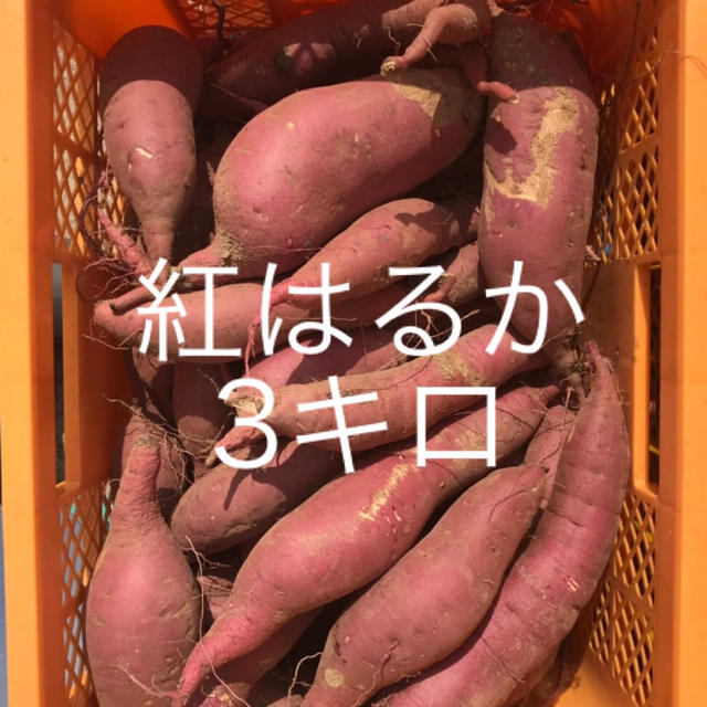 令和2年10月収穫！3kgサツマイモ 倉敷紅はるか 無農薬さつまいも※訳あり 食品/飲料/酒の食品(野菜)の商品写真