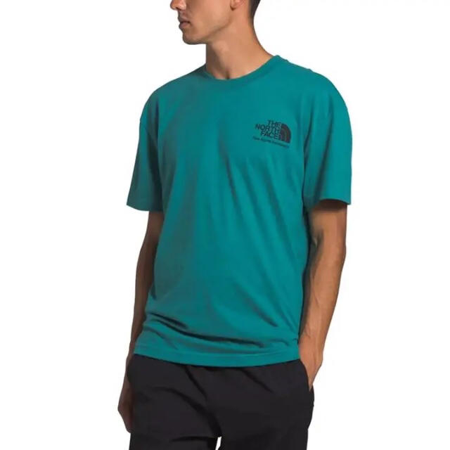 THE NORTH FACE(ザノースフェイス)の海外限定 ノースフェイス L モダンレッジ Tシャツ ファンファーレグリーン メンズのトップス(Tシャツ/カットソー(半袖/袖なし))の商品写真