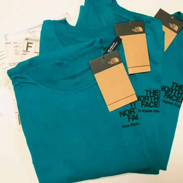 THE NORTH FACE(ザノースフェイス)の海外限定 ノースフェイス L モダンレッジ Tシャツ ファンファーレグリーン メンズのトップス(Tシャツ/カットソー(半袖/袖なし))の商品写真