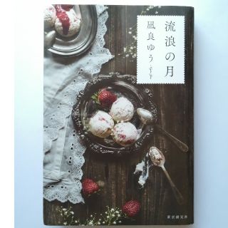 流浪の月(文学/小説)