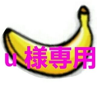 u 様専用(つけ爪/ネイルチップ)