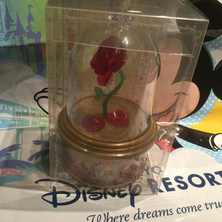 ディズニー(Disney)の美女と野獣　紅茶　薔薇⭐︎28日購入分　ショッパー付⭐︎即日発送可能2つ(ゲームキャラクター)