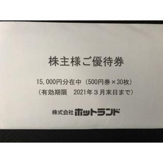 優待券/割引券nn7010raku専用 ホットランド三万円分(５百円券×60枚）