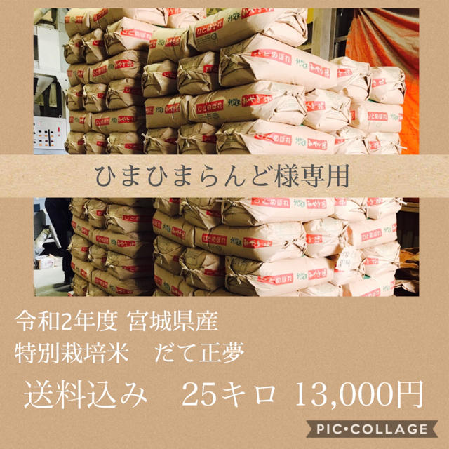 ひまひまらんど様専用✳︎宮城県産だて正夢25キロ 食品/飲料/酒の食品(米/穀物)の商品写真