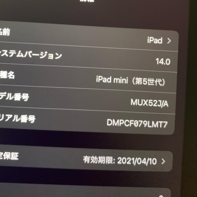 iPad(アイパッド)のiPad mini  5 Apple pencil 第一世代　ケース スマホ/家電/カメラのPC/タブレット(タブレット)の商品写真