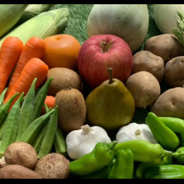 ★60サイズ★ 無農薬新鮮野菜果物セット 10種類 食品/飲料/酒の食品(野菜)の商品写真