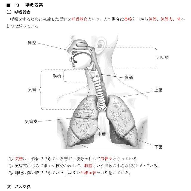 第一種衛生管理者DVD テキスト付き(PDF)＋過去問＋スマホ学習セット！ 3