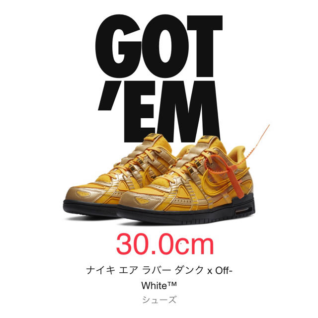 NIKE(ナイキ)の30.0cm ナイキ エア ラバー ダンク オフホワイト Off-White メンズの靴/シューズ(スニーカー)の商品写真