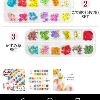 ネイル　レジン　押し花　かすみ草(ネイル用品)