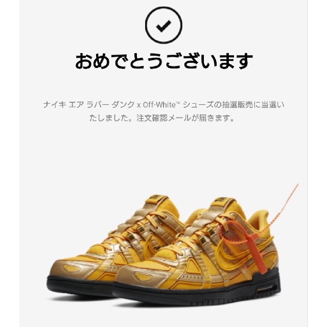 NIKE ナイキ エア ラバーダンク × Off White