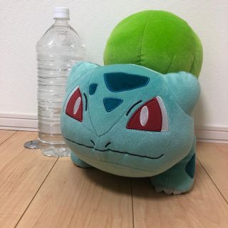 ポケモン　BIG ぬいぐるみ　フシギダネ(キャラクターグッズ)