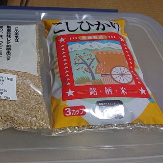 ✳️新米玄米お試し ワンコイン✳️富山県産1等米コシヒカリ玄米2合＋3合(米/穀物)
