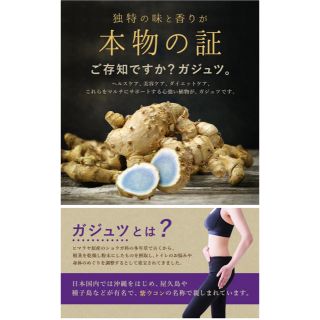 ヘルス 美容 ダイエットをマルチにサポート ガジュツ　約1ヵ月分 健康グッズ(ダイエット食品)