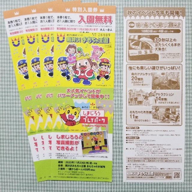 専用　軽井沢おもちゃ王国　フリーパス券2枚と入園券2枚
