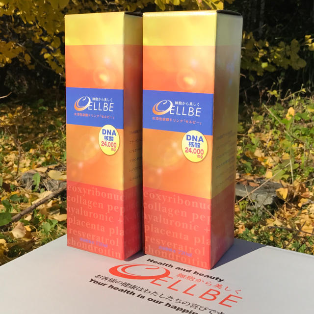 大特価 水溶性 核酸ドリンク セルビー 3本セット 健康用品 【スーパー ...