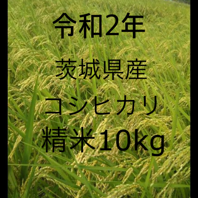 新米 令和2年産 茨城県 コシヒカリ 白米 10kg 精米 食品/飲料/酒の食品(米/穀物)の商品写真