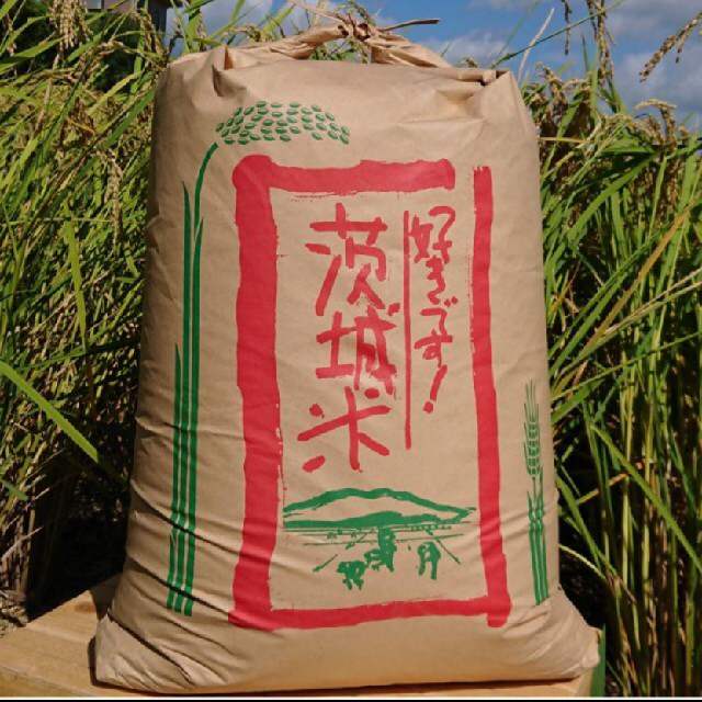 新米 令和2年産 茨城県 コシヒカリ 白米 10kg 精米 食品/飲料/酒の食品(米/穀物)の商品写真
