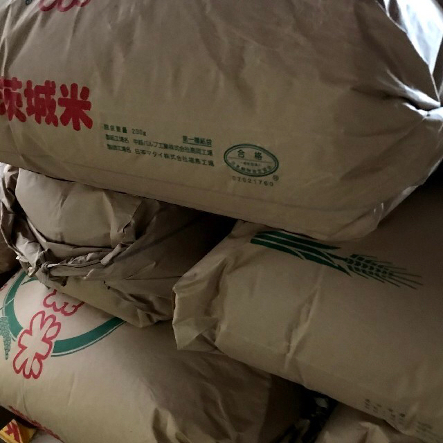 新米 令和2年産 茨城県 コシヒカリ 白米 10kg 精米 食品/飲料/酒の食品(米/穀物)の商品写真