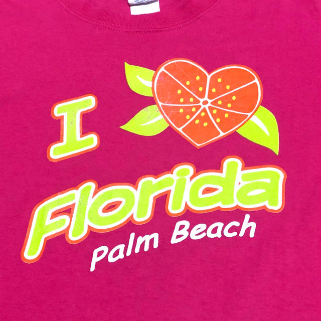 Anvil(アンビル)のI LOVE FLORIDA Tシャツ メンズのトップス(Tシャツ/カットソー(半袖/袖なし))の商品写真