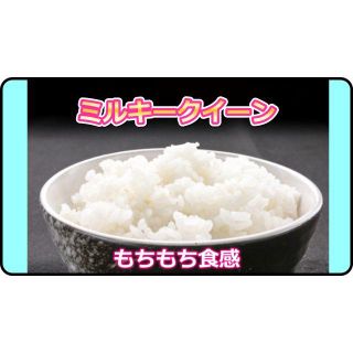 新米R2年ミルキークイーンもちっとした食感が人気のお米白米18ｋｇ(米/穀物)