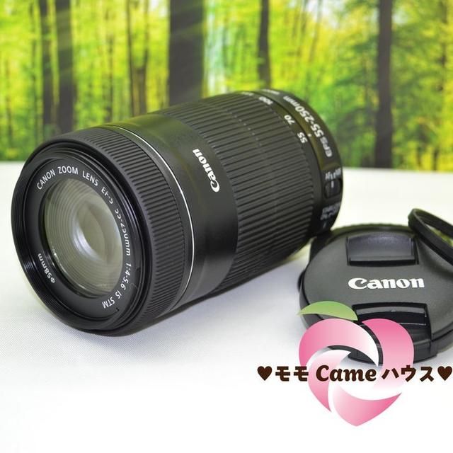 特殊Canon - キヤノン EF-S 55-250㎜ IS STM☆新型望遠レンズ☆1170の