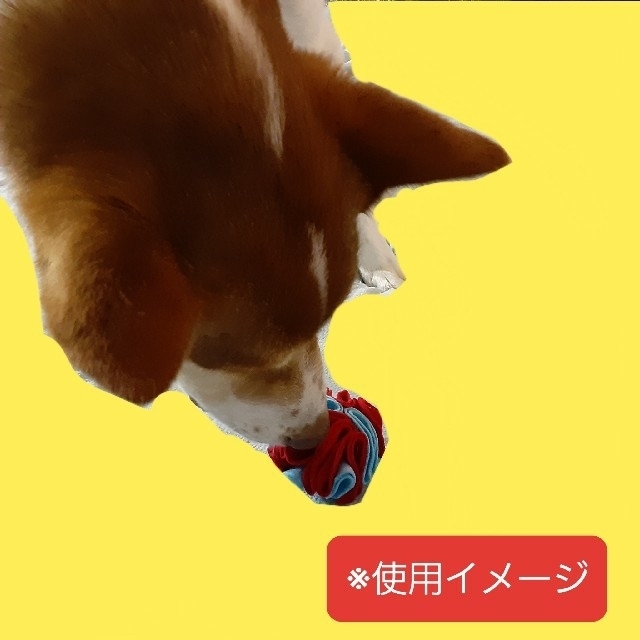 ペット用品 中 大型犬 犬のおもちゃ クンクンボールlの通販 By ぽぽぽんたん一家 ラクマ