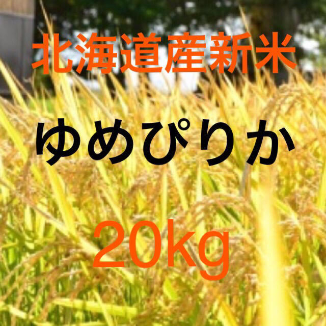 食品ゆめぴりか　北海道産　新米　20kg