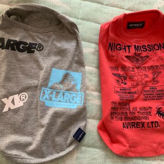 エクストララージ(XLARGE)のドックウェアー(犬)