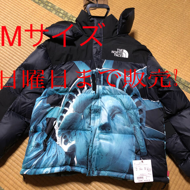 Supreme(シュプリーム)のsupreme × the north face 自由の女神 バルトロジャケット メンズのジャケット/アウター(ダウンジャケット)の商品写真