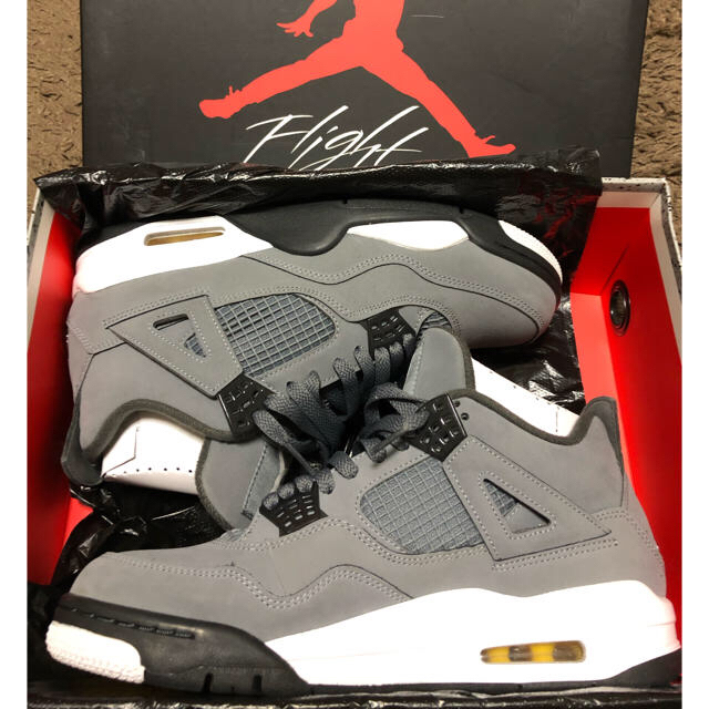 NIKE airjordan4 cool gray aj4 クールグレー 1