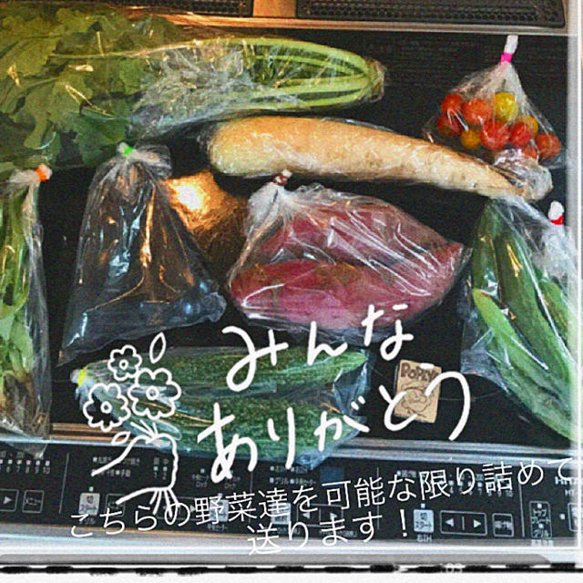 ポパイ畑野菜詰め合わせ60サイズ即購入可　ニックネームさん専用 食品/飲料/酒の食品(野菜)の商品写真