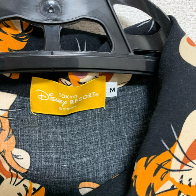 Disney(ディズニー)のディズニーランド　ティガーシャツ レディースのトップス(Tシャツ(半袖/袖なし))の商品写真