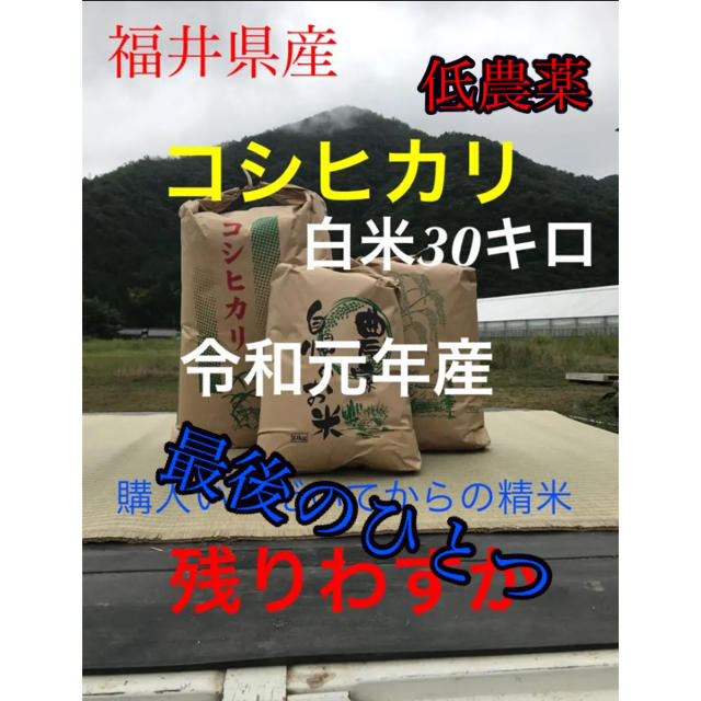 白米30キロ　令和元年産　福井県産　コシヒカリ