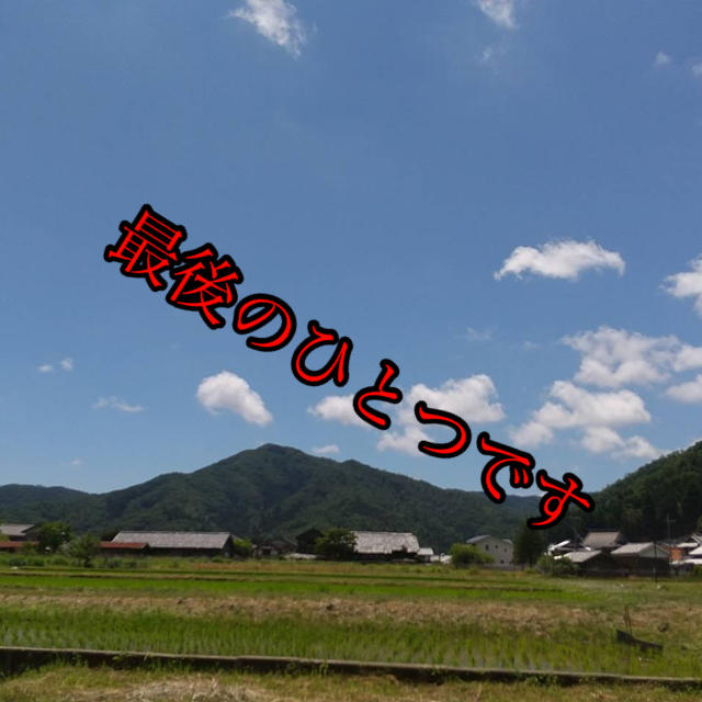 福井県産　コシヒカリ　白米30キロ 令和元年産