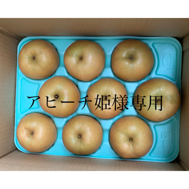 長野県産 赤梨『南水』約5キロ 標高800メートル高地栽培