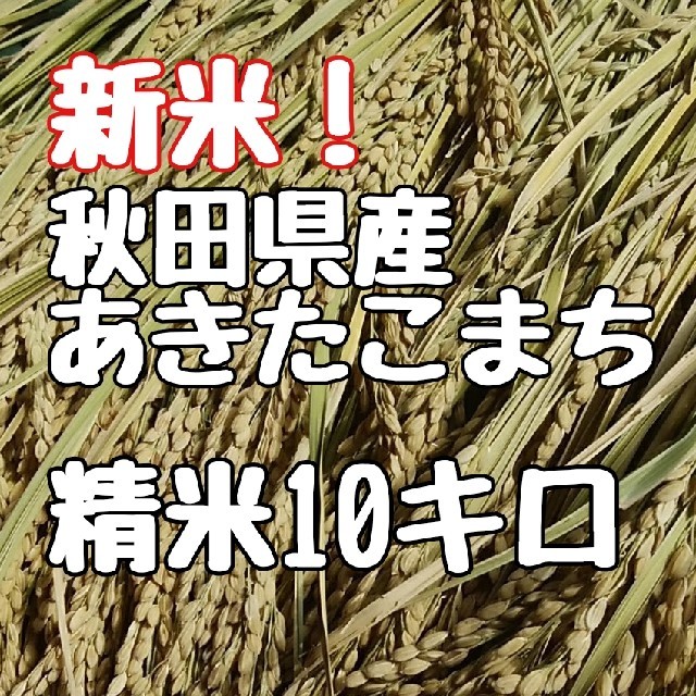 新米秋田県産あきたこまち精米減農薬 食品/飲料/酒の食品(米/穀物)の商品写真