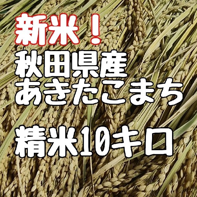 秋田県産あきたこまち精米　米/穀物