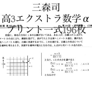 駿台 高2 高3 エクストラ数学α 井辺先生 三森先生 テスト プリント セット