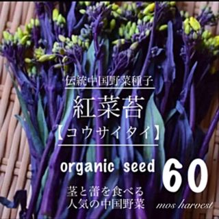 伝中国野菜種子◆紅菜苔　コウサイタイ◆ 　　　　　　　【無農薬　種子60粒】(その他)