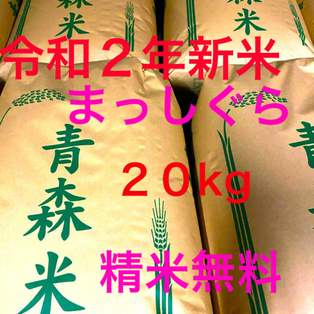 本物◆ 令和4年 新米まっしぐら20kg