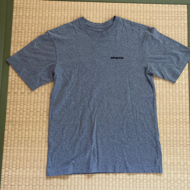 patagonia(パタゴニア)のpatagonia Tシャツ　グレー　 メンズのトップス(Tシャツ/カットソー(半袖/袖なし))の商品写真