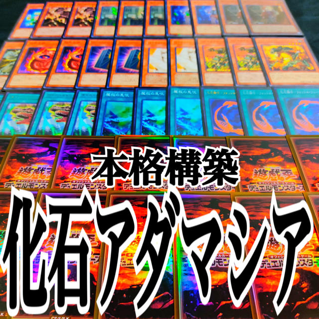 遊戯王　化石アダマシア　本格構築デッキ