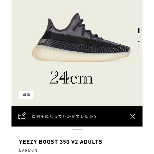 直販特注品 YEEZY BOOST 350 V2 ADULTS | www.takalamtech.com