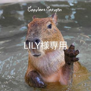 LILY様専用　M Lまとめ　変なおじさん(お笑い芸人)