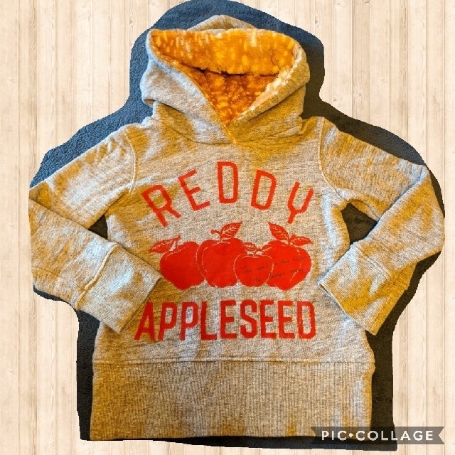 REDDY APPLESEED(レディーアップルシード)のキッズトレーナー パーカー 100ｃｍ&スカート95cm   キッズ/ベビー/マタニティのキッズ服男の子用(90cm~)(Tシャツ/カットソー)の商品写真