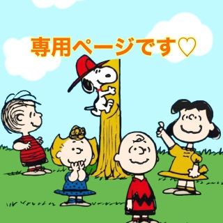 スヌーピー(SNOOPY)のマミボス様専用です(インテリア雑貨)