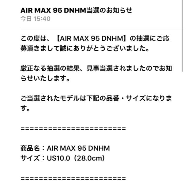 NIKE(ナイキ)の国内正規品 NIKE AIR MAX 95 DNHM デンハム メンズの靴/シューズ(スニーカー)の商品写真